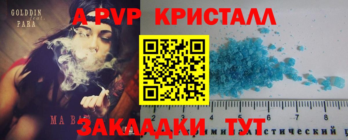 Alfa_PVP СК Владикавказ