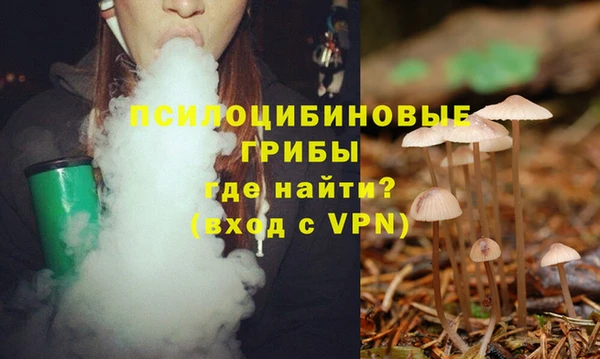 дмт Нязепетровск