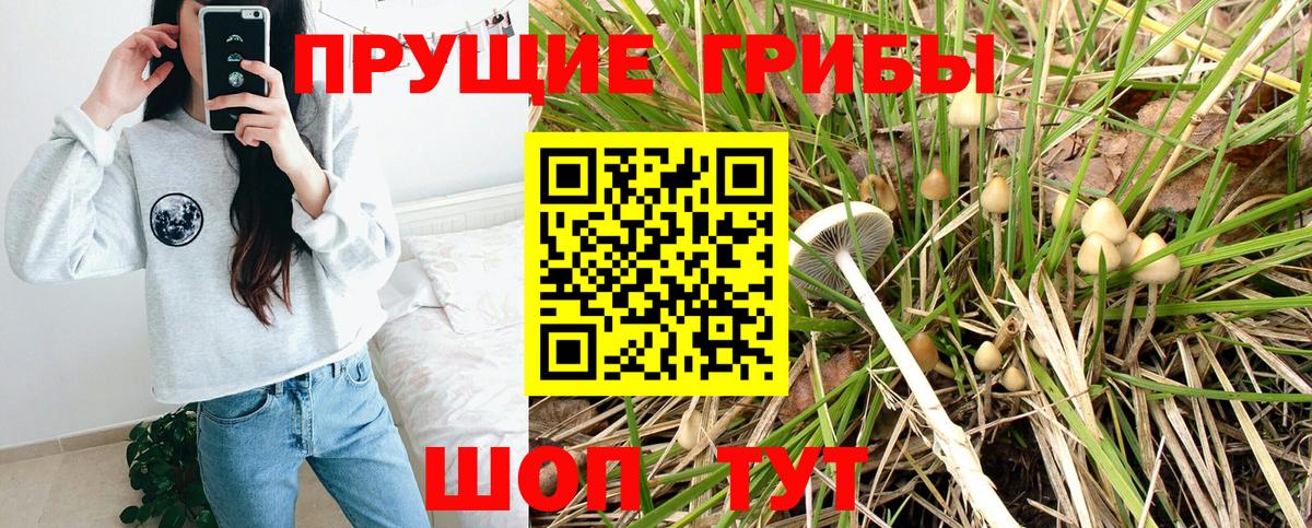 Владикавказ  Псилоцибиновые грибы прущие грибы  Вход с VPN 